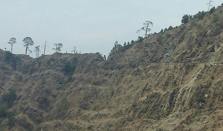 कैलालीको भासु भीरमा जिप दुर्घटना : २ जनाको मृत्यु 